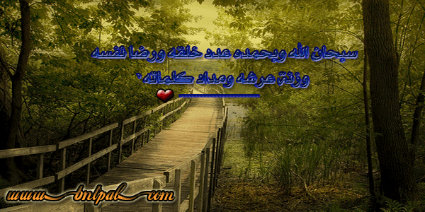 bntpal_1423304145_50
