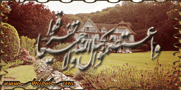 bntpal_1423304145_59