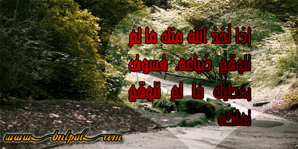 bntpal_1423304146_78