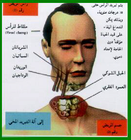 "" bntpal_1423373379_91