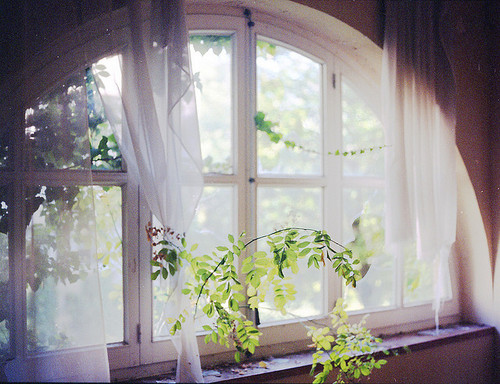 " bntpal_1423406700_72