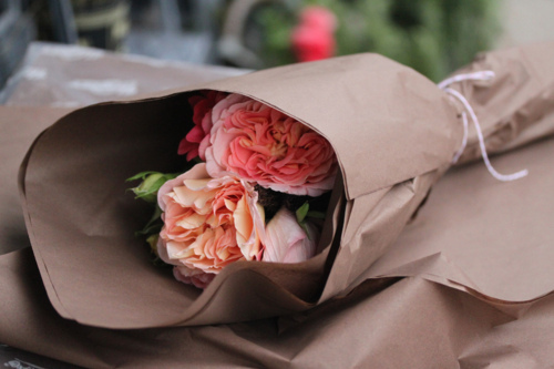 " bntpal_1423406702_20