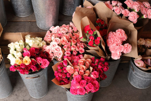 " bntpal_1423406702_39
