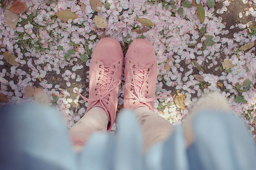 " bntpal_1423406706_61