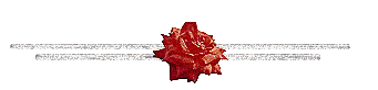 bntpal_1423411348_32