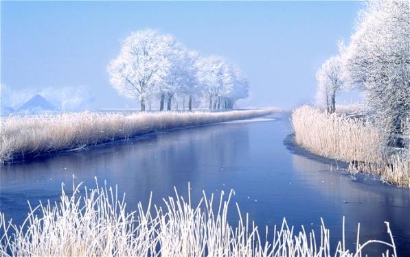 bntpal_1423431614_70