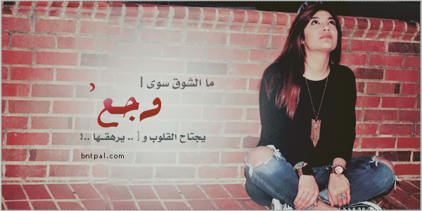bntpal_1423520865_19
