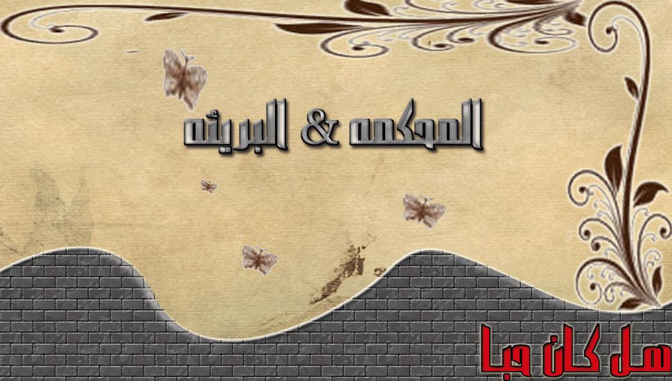 bntpal_1423566507_46