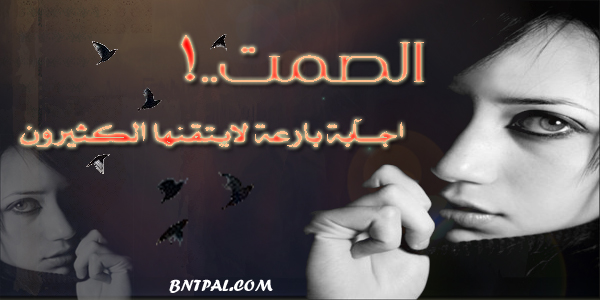 bntpal_1423574711_73