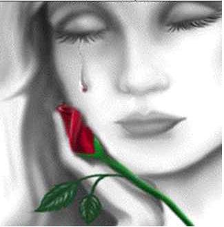 bntpal_1423576086_74