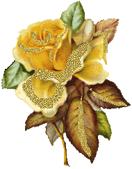      bntpal_1423590823_88