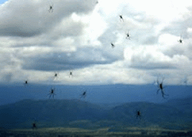 bntpal_1423648884_19
