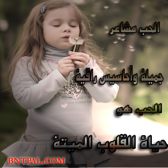 2015 bntpal_1423656783_28