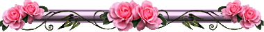  bntpal_1423677109_54