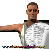 X-ray bntpal_1423752062_90
