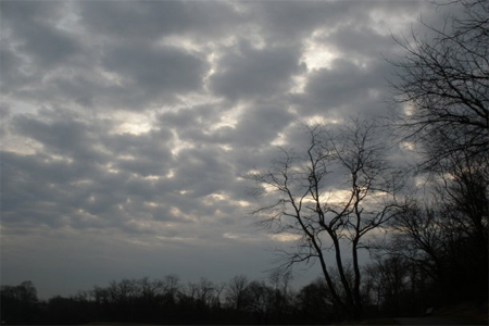 bntpal_1423825294_50