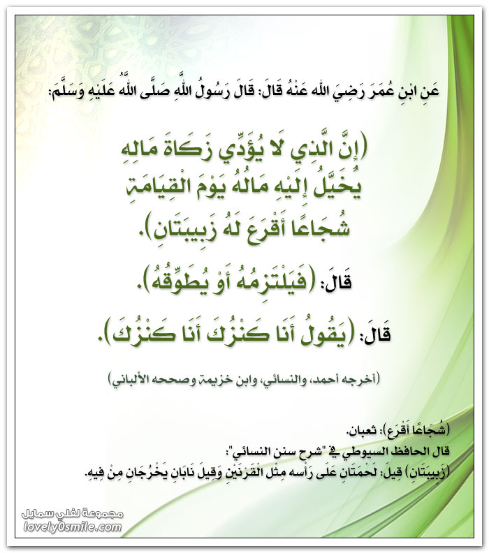 bntpal_1423933513_95