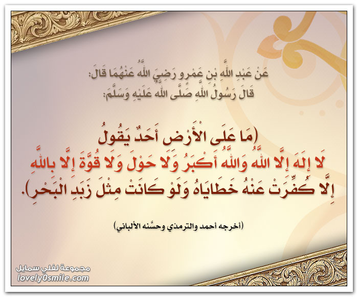 bntpal_1423933514_11