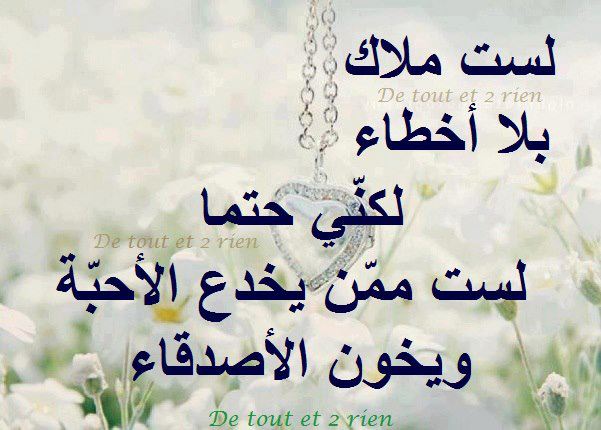    bntpal_1423933751_56