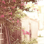 ٺ  bntpal_1423938403_98