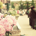 ٺ  bntpal_1423938406_97