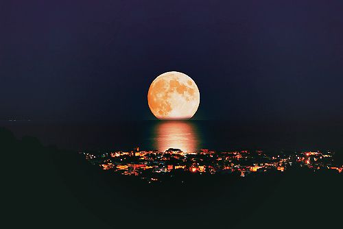 bntpal_1424075402_30