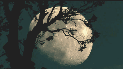 bntpal_1424075404_15