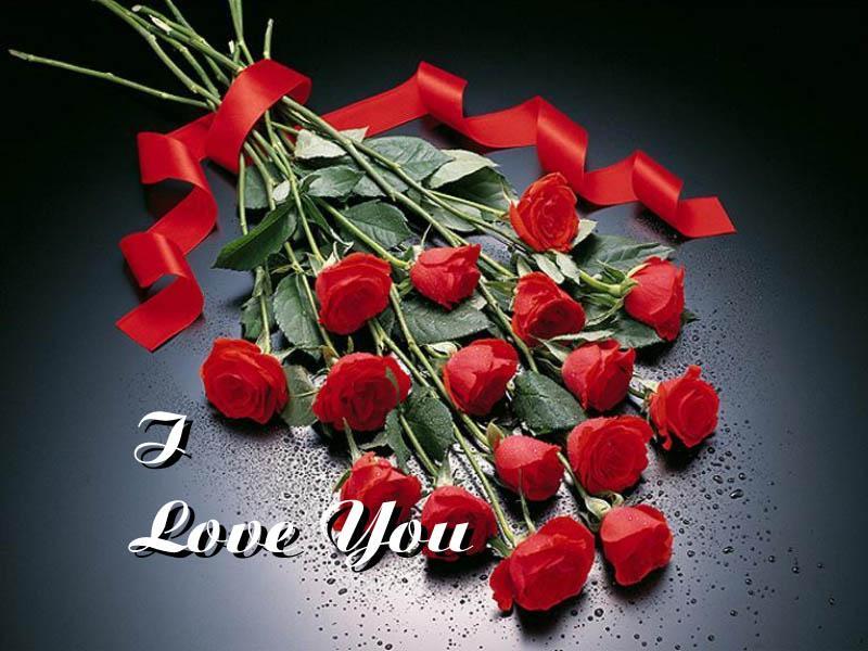  bntpal_1424075512_56