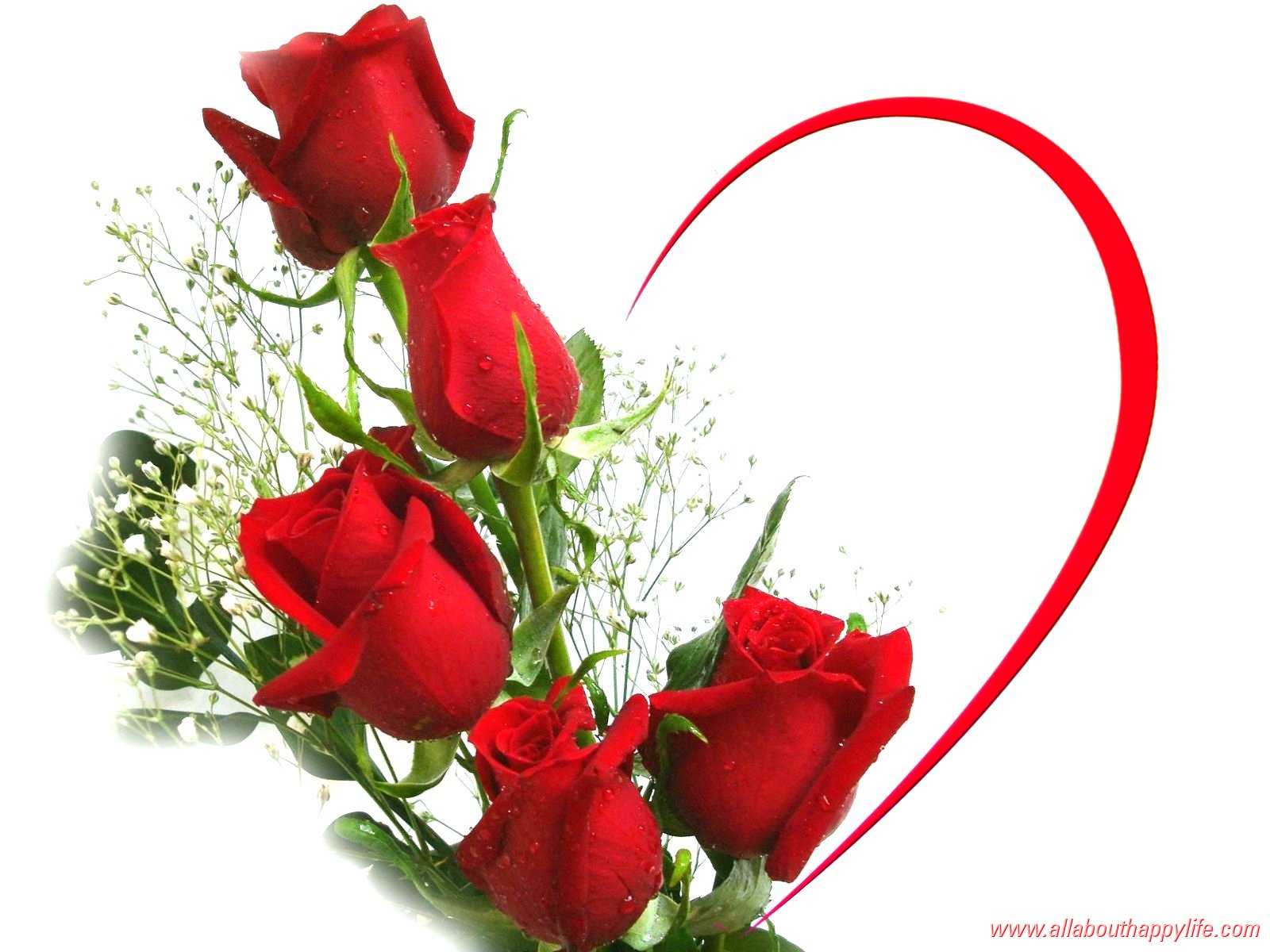  bntpal_1424075513_55