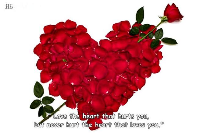  bntpal_1424075515_41