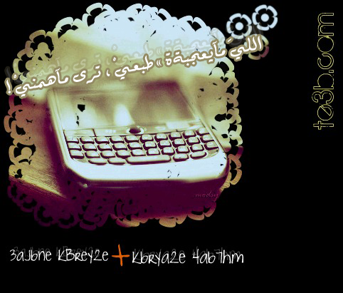  2015  2016  bntpal_1424089525_42