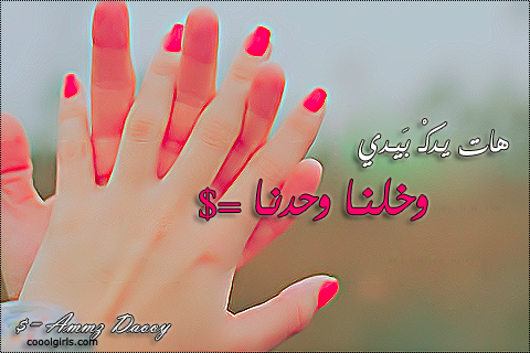  2015  2016  bntpal_1424093328_98