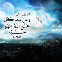 " " bntpal_1424101021_50