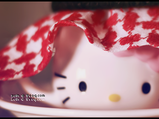 2015 2016 bntpal_1424158191_12