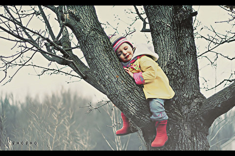 2015 2016 bntpal_1424158192_37