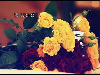 2015 2016 bntpal_1424158193_25
