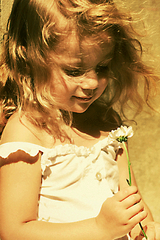  2015  2016 bntpal_1424159125_12