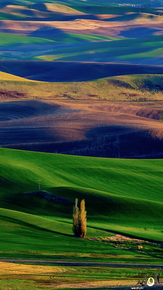  phone 2015  phone bntpal_1424159629_39