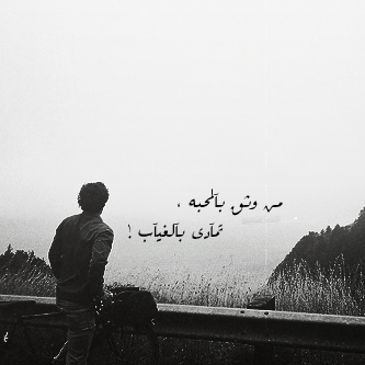2015 2016 bntpal_1424160505_26