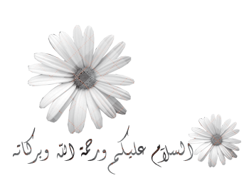 bntpal_1424166502_33