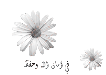 bntpal_1424166503_75