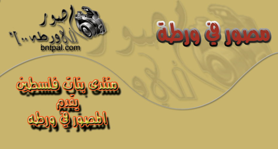...!! bntpal_1424174404_30