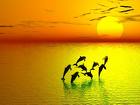 .ஓ .. ..ஓ bntpal_1424203681_61
