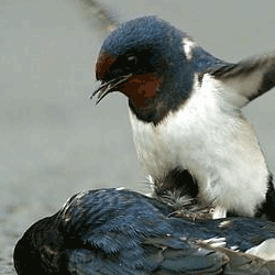 .ஓ .. ..ஓ bntpal_1424203689_76