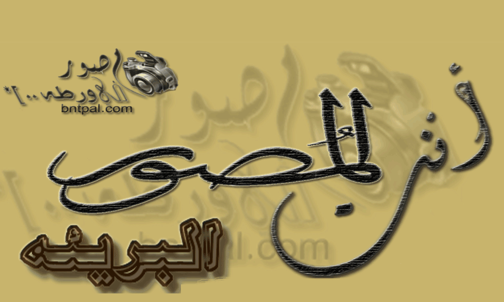 .. bntpal_1424242534_99