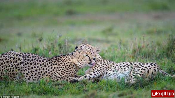  -2015 bntpal_1424245187_88
