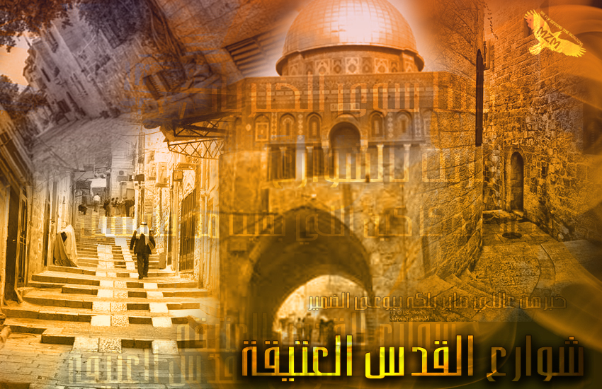 bntpal_1424264924_80