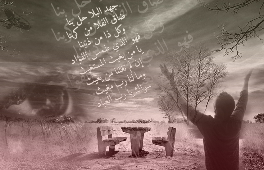 bntpal_1424333196_32