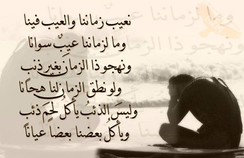 bntpal_1424334425_33