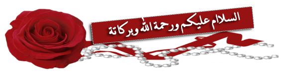 bntpal_1424334770_90